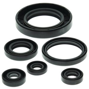 Can-Am Traxter 500 Engine Oil Seal Kit - Vertex Pistons - `99-`05 Can-Am Traxter 500 Engine Oil Seal Kit - Vertex Pistons - `99-`05